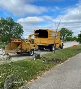 tree fertilization in the chicagoland area2
