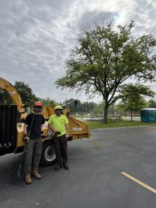 emergency tree service in the Chicagoland Area3